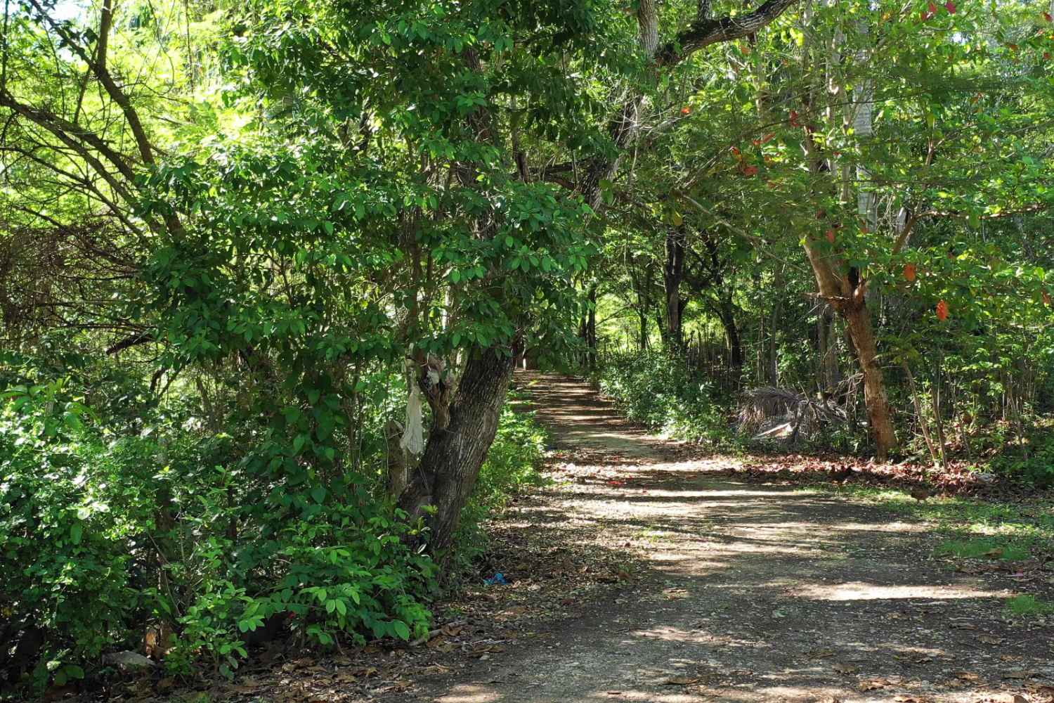 El Choco land parcel with expansive greenery
